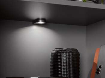 dbrg356 04 web